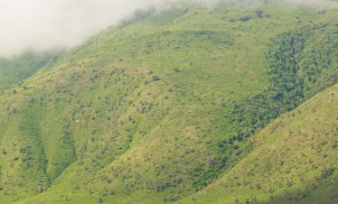 Explore the vast landscapes and wildlife of Ngorongoro Crater with a safari jeep adventure.