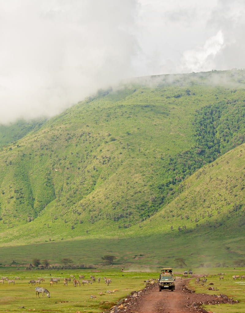 Explore the vast landscapes and wildlife of Ngorongoro Crater with a safari jeep adventure.