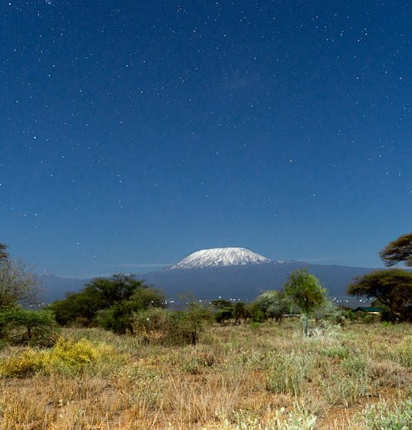 A breathtaking view of Mount Kilimanjaro framed by a clear starry night sky from Kajiado County, Kenya.