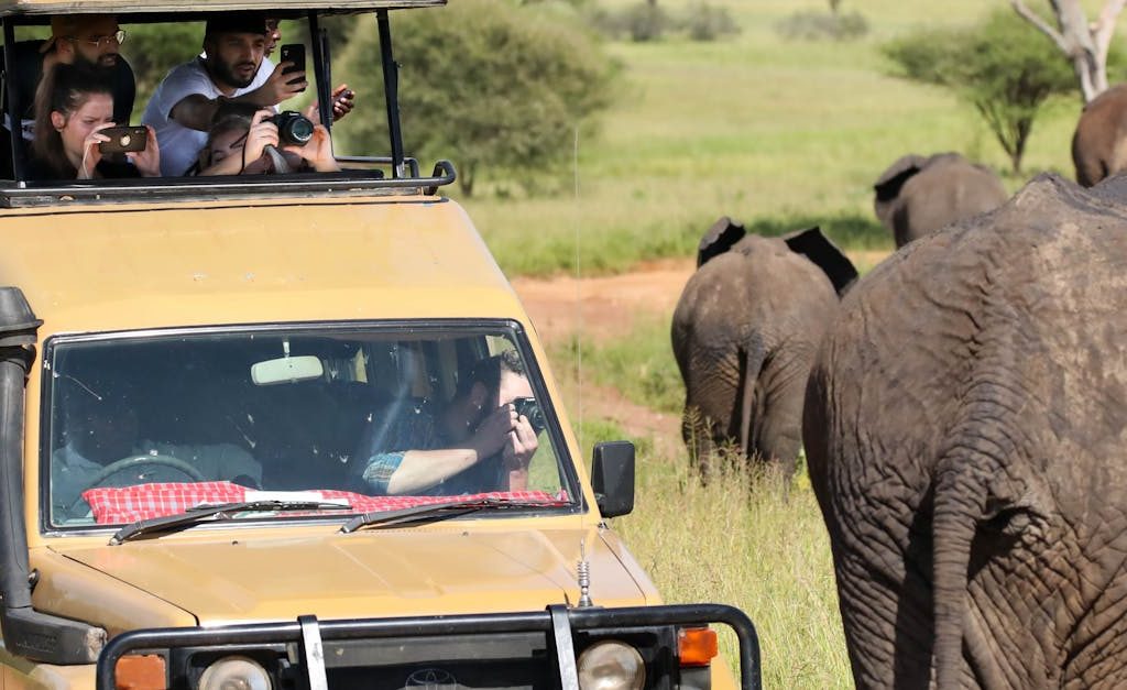 Tourists in a safari vehicle observe and photograph elephants during an African safari.