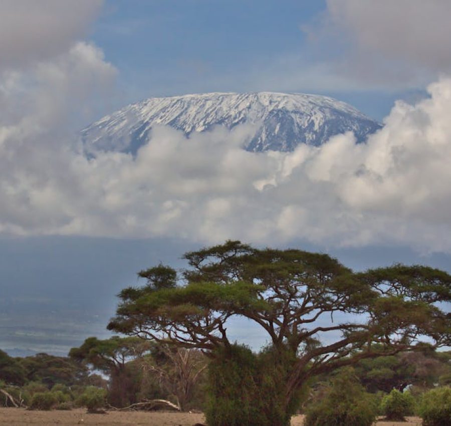 Scenic view of snowcapped Mount Kilimanjaro amidst clouds and acacia trees.
