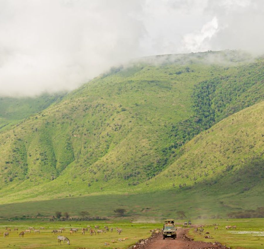 Explore the vast landscapes and wildlife of Ngorongoro Crater with a safari jeep adventure.