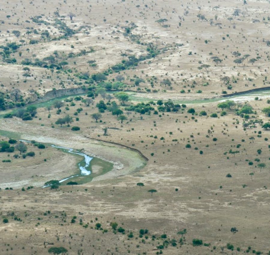 Aerial shot of meandering river through Tarangire National Park in Tanzania.
